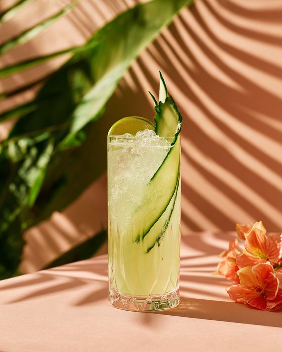 Lychee Cucumber Cooler cocktail: collins glass, garnished with cucumber ribbon